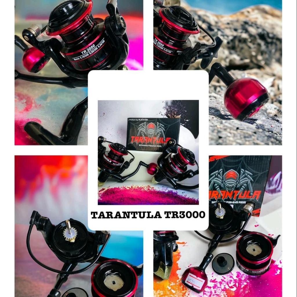 รอกตกปลา สปินนิ่ง  รอกตกปลาTARANTULA TR 3000 รอบ 5.2:1