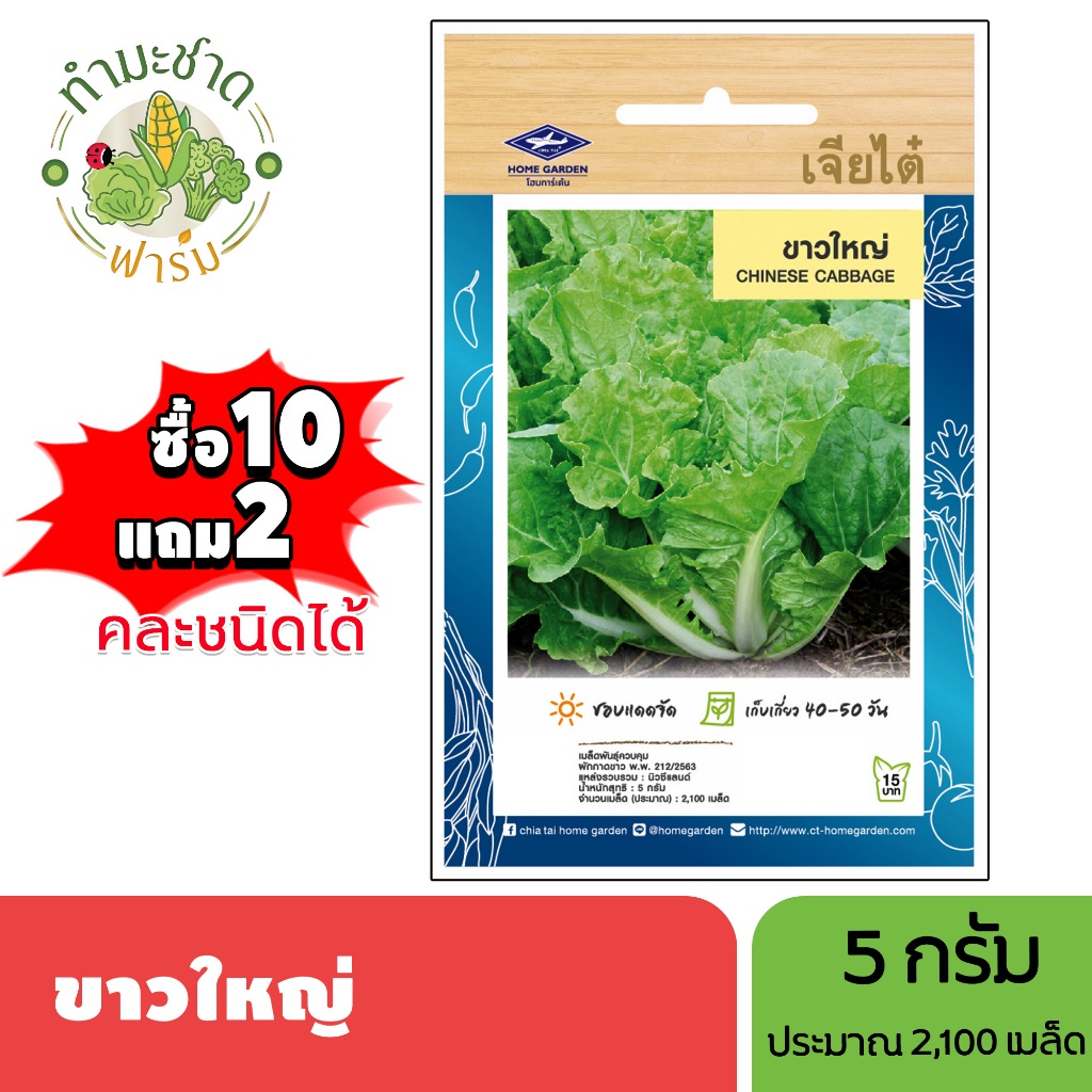 เจียไต๋ (ซื้อ10แถม2) เมล็ดพันธุ์ ขาวใหญ่ ขนาด5กรัม ประมาณ2,100เมล็ด Chinese Cabbage ผักกาดขาว เมล็ดพันธุ์พืช เมล็ดผัก ปล