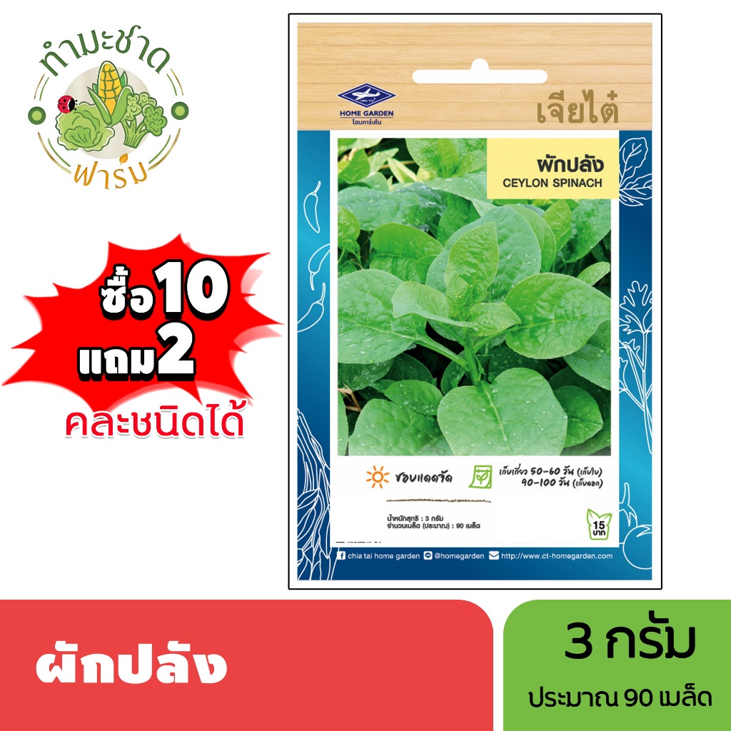 เจียไต๋ (ซื้อ10แถม2) เมล็ดพันธุ์ ผักปลัง ขนาด3กรัม ประมาณ90เมล็ด Ceylon Spinach ผักปั๋ง โปเด้งฉ้าย เมล็ดพันธุ์พืช เมล็ดผ