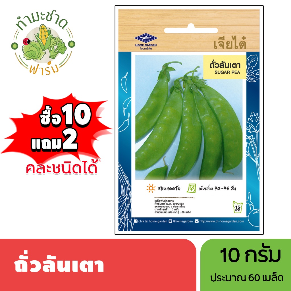 เจียไต๋ (ซื้อ10แถม2) เมล็ดพันธุ์ ถั่วลันเตา ขนาด10กรัม ประมาณ60เมล็ด Sugar Pea ถั่วลันเตาหวาน เมล็ดพันธุ์พืช เมล็ดผัก ปล
