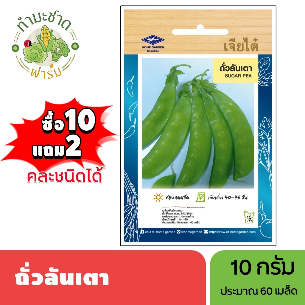 เจียไต๋ (ซื้อ10แถม2) เมล็ดพันธุ์ ถั่วลันเตา ขนาด10กรัม ประมาณ60เมล็ด Sugar Pea ถั่วลันเตาหวาน เมล็ดพันธุ์พืช เมล็ดผัก ปล