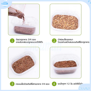ข้าวสาลีแมว หญ้าแมว ชุดปลูกข้าวสาลี ต้นอ่อนข้าวสาลี ต้นข้าวสาลีแมว เสริมสร้างภูมิคุ้มกัน ลดกลิ่นมูลสัตว์เลี้ยง