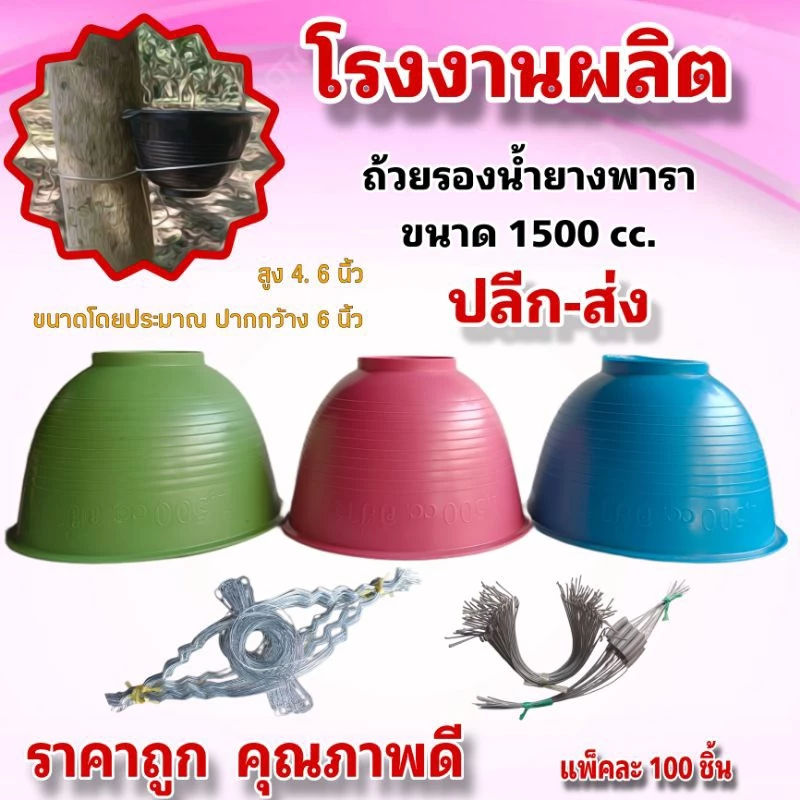 ถ้วยยางพาราแบบสีขนาด 1500 ซีซี และลวดรัดต้นยางให้เลือก บรรจุ 100 ชิ้น สีเพียบ โรงงานมาเอง