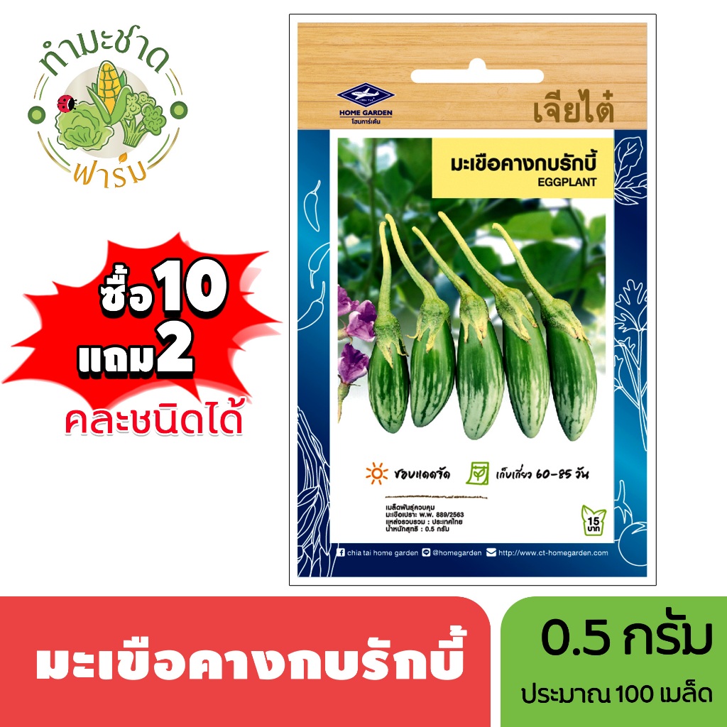 เจียไต๋ (ซื้อ10แถม2) เมล็ดพันธุ์ มะเขือคางกบรักบี้ ขนาด0.5กรัม ประมาณ150เมล็ด Eggplant มะเขือคางกบ เมล็ดพันธุ์พืช