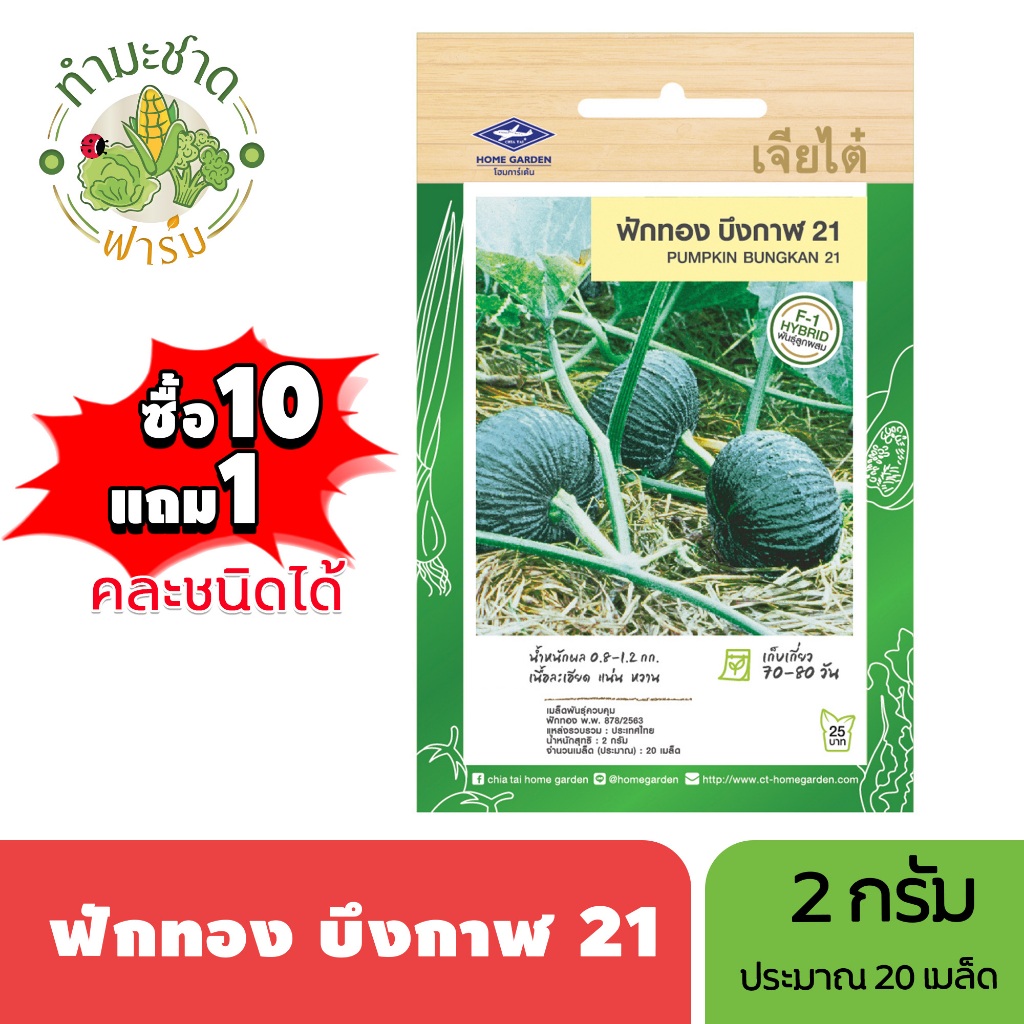 เจียไต๋ (ซื้อ10แถม1) เมล็ดพันธุ์ ฟักทองบึงกาฬ ขนาด2กรัม ประมาณ20เมล็ด Pumpkin ฟักทอง เมล็ดพันธุ์พืช เมล็ดผัก ปลูกผักสวนค