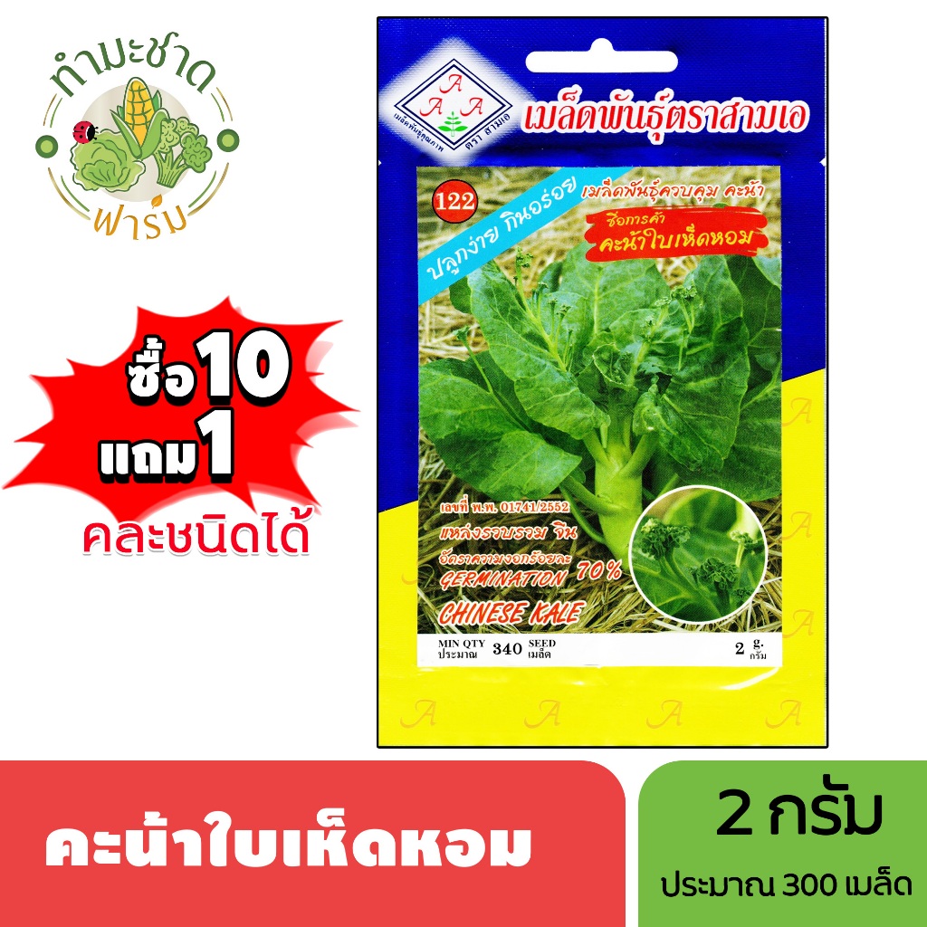 3A (ซื้อ10แถม1) เมล็ดพันธุ์ จุยเจีย-บลูเคล ขนาด1กรัม ประมาณ300เมล็ด DWARF BLUE KALE คะน้าเคล เคล เมล็ดพันธุ์พืช เมล็ดผัก