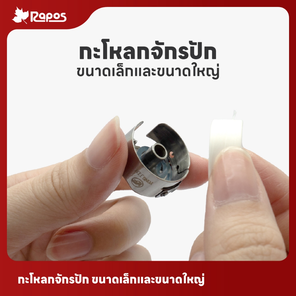 กะโหลกจักรปัก ขนาดเล็กและขนาดใหญ่ จากบริษัทราพอส ราคา ถูกที่สุด ดีลบีเคเค