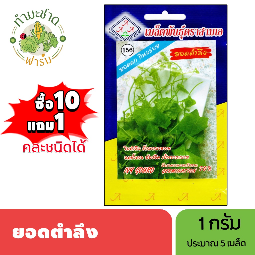 3A (ซื้อ10แถม1) เมล็ดพันธุ์ ตำลึง ขนาด 1 กรัม ประมาณ 5 เมล็ด IVY GOURD ยอดตำลึง ตำลึง เมล็ดพันธุ์พืช เมล็ดผัก ปลูกผักสวน