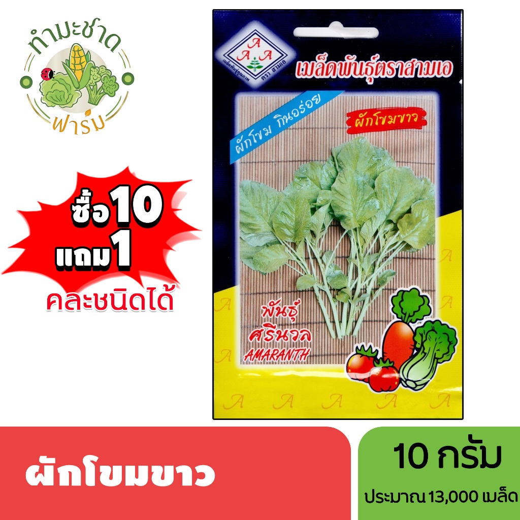 3A (ซื้อ10แถม1) เมล็ดพันธุ์ ผักโขมขาว ขนาด 10 กรัม ประมาณ 13,300 เมล็ด AMARANTH ผักโหม ผักขม ผักโหมเกลี้ยง เมล็ดพันธุ์