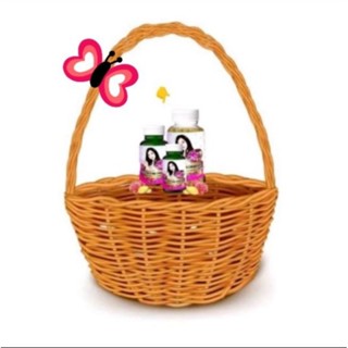 ตะกร้าใส่ว่าน ว่านกิ่งเพชร