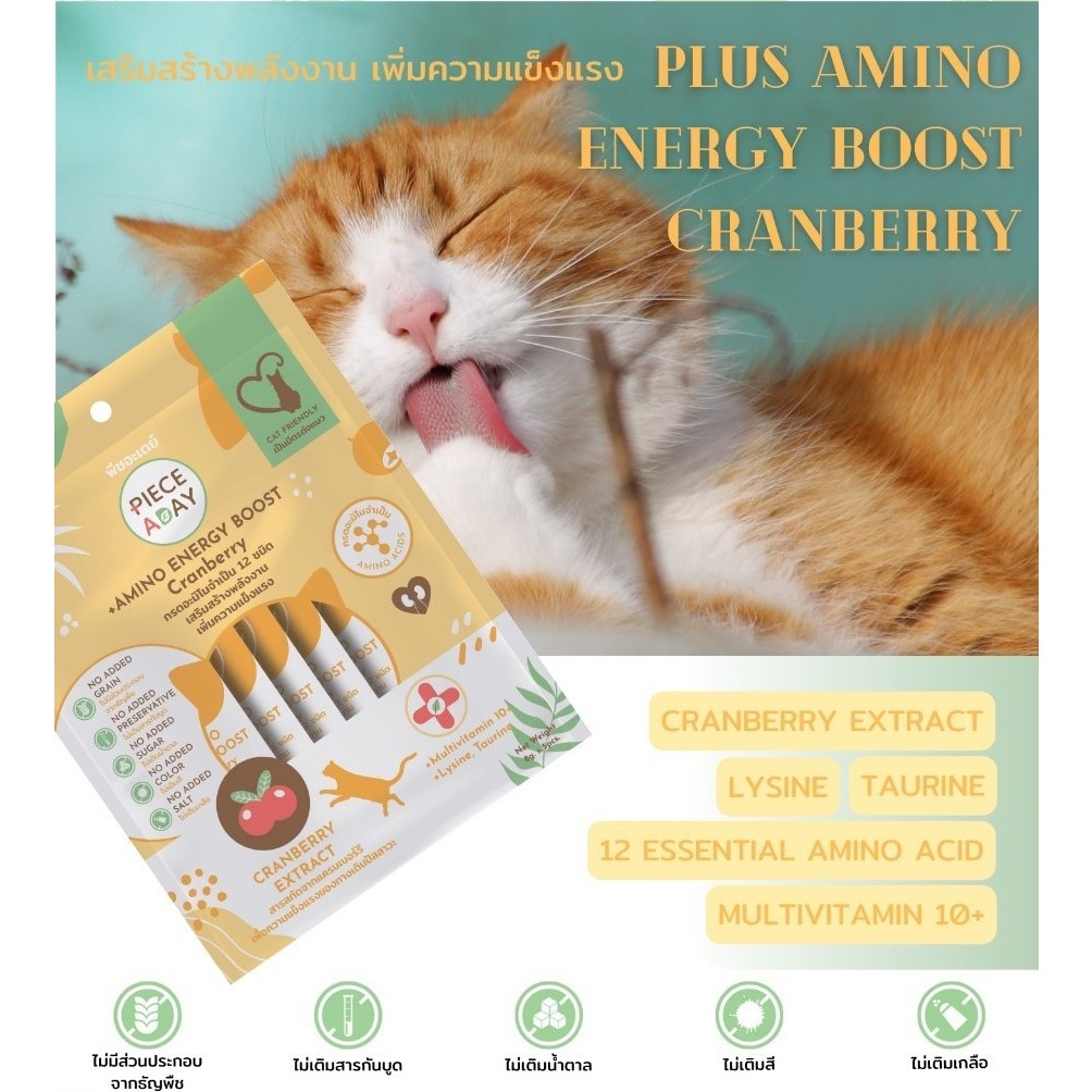 PIECE A DAY ขนมแมวเลีย ที่หมอเลือก ‍⚕️