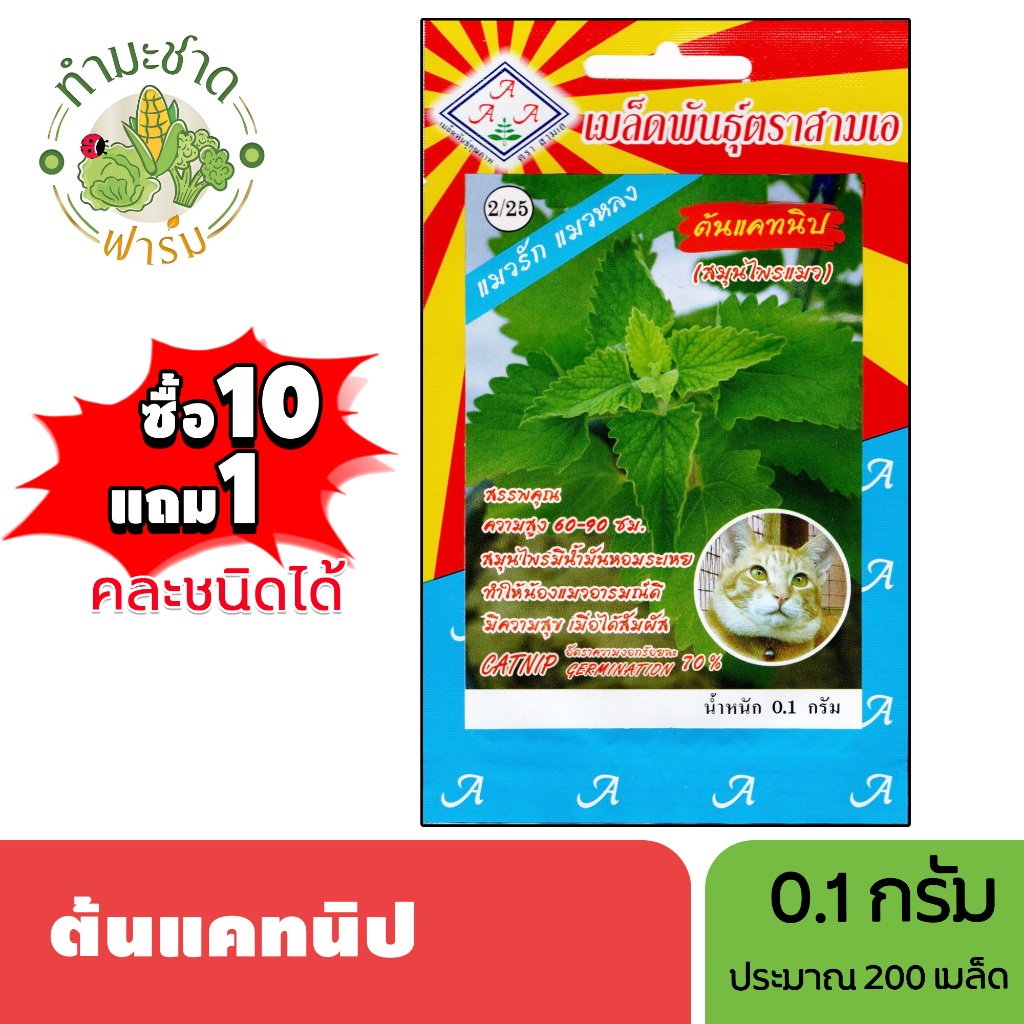 3A (ซื้อ10แถม1) เมล็ดพันธุ์ ต้นแคทนิป ขนาด0.1กรัม ประมาณ250เมล็ด CATNIP สมุนไพรแมว เมล็ดพันธุ์พืช เมล็ดผัก ปลูกผักสวนครั