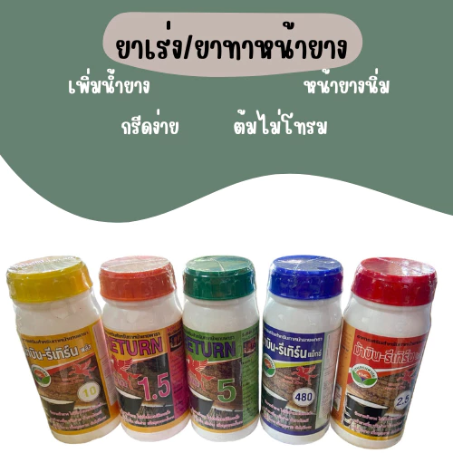 น้ำยาทาหน้ายาง ตราม้าบิน อาหารบำรุงต้นยาง อาหารเสริมทาหน้ายาง