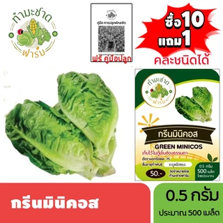 ทำมะชาดฟาร์ม (ซื้อ10แถม1) เมล็ดพันธุ์ กรีนมินิคอส ขนาด0.5กรัม ประมาณ500เมล็ด GREEN MINICOS ROMAINE LETTUCE เบบี้คอส