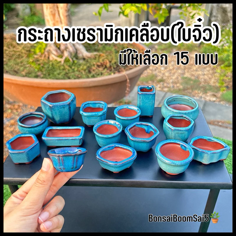 กระถางเซรามิกเคลือบ(ใบจิ๋ว) สีน้ำเงิน มีให้เลือก 15 แบบ