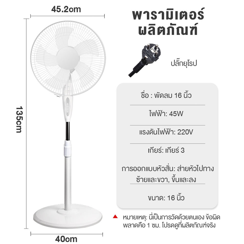 รูปภาพ 9