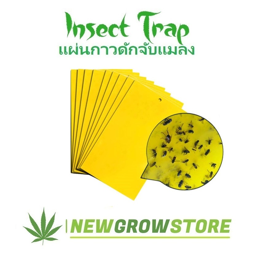 แผ่นดักแมลงสีเหลืองคุณภาพสูง 10x20 ซม แพ็ค 10, 20, 50 แผ่น สำหรับกับดักแมลงบินในโรงเรือนปลูก ใช้งานได้นาน