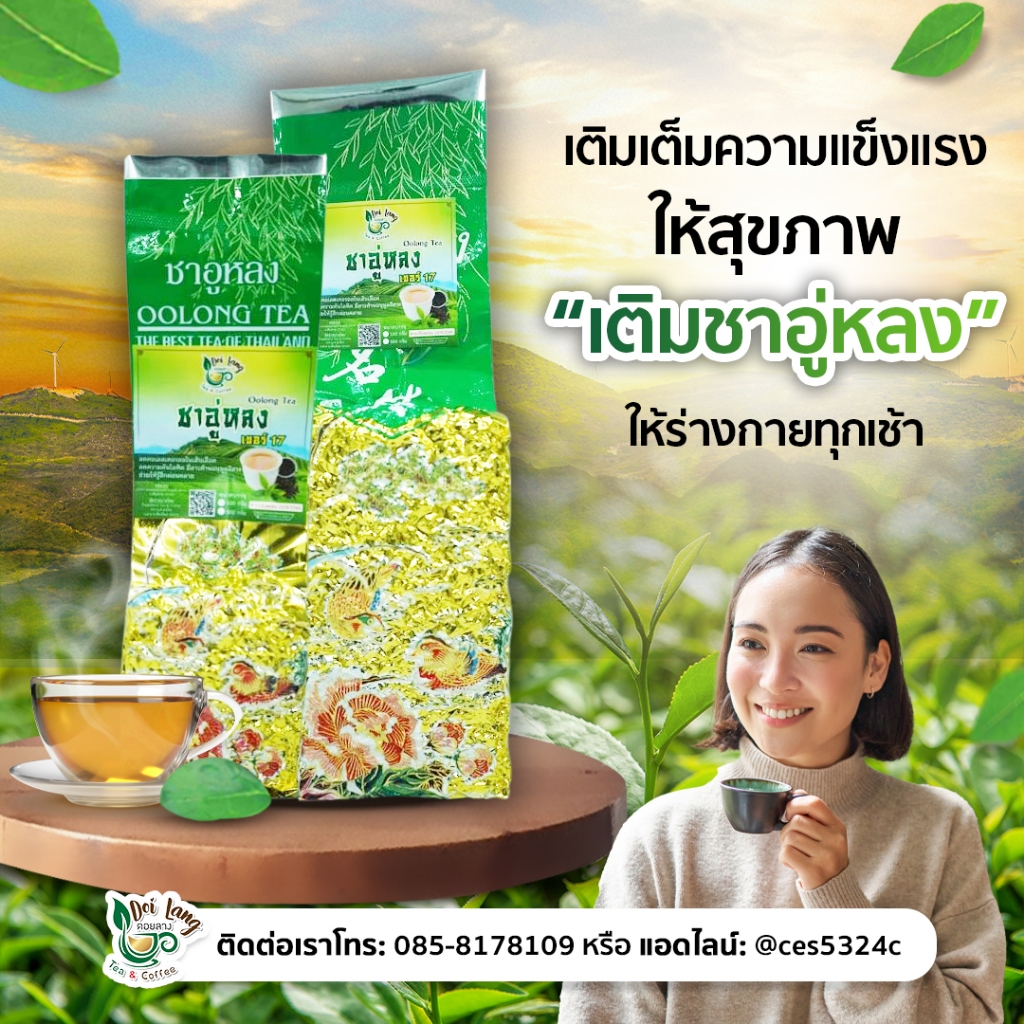 ชาอู่หลง เบอร์ 17 Oolong Tea No.17 ขนาด 100 กรัม 软枝 ผ่านมาตรฐาน อย. ชาที่นิยมดื่มที่สุดของตระกูลชาอู่หลง กลิ่นตามธรรม...