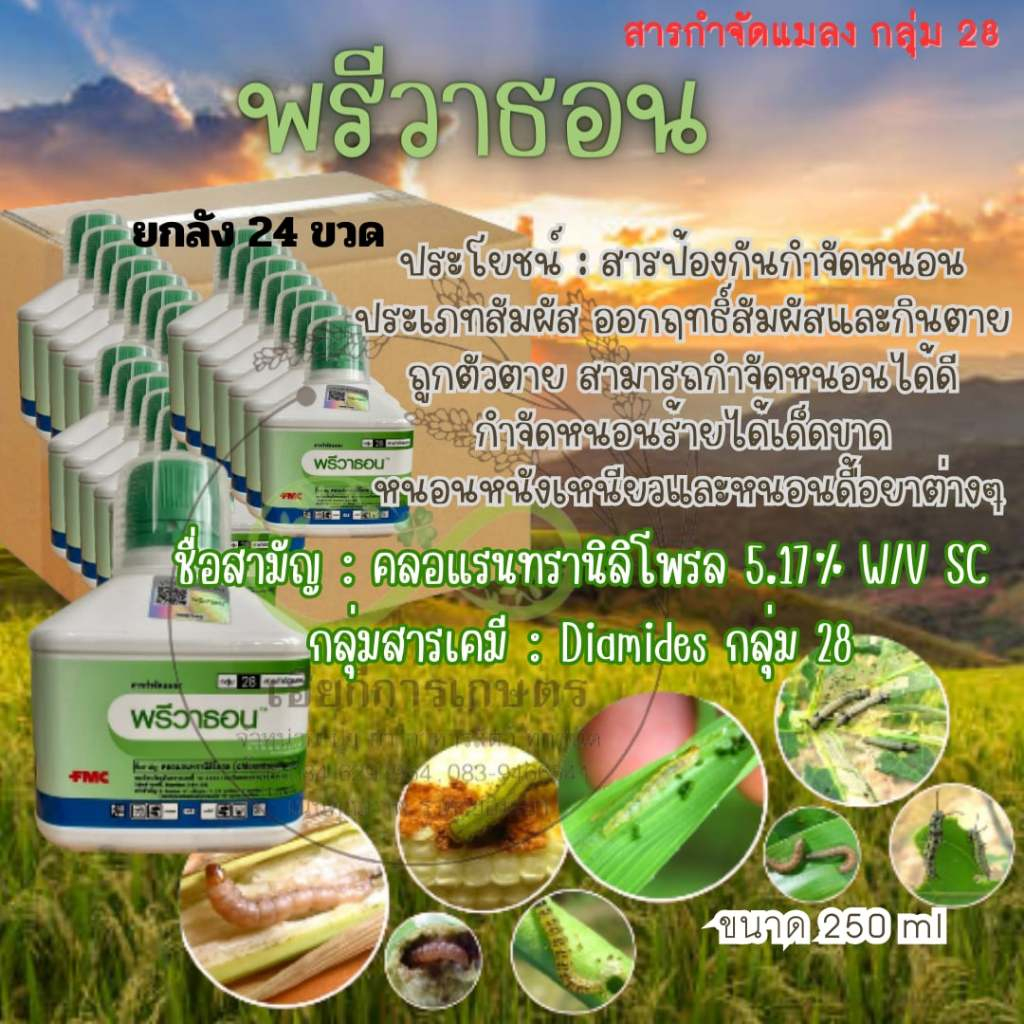 พรีวาธอน ยกลัง 24 ขวด คลอแรนทรานิลิโพรล สารป้องกันกำจัดแมลง เช่น หนอนกอ หนอนกะทู้ข้าวโพด หนอนใย หนอนม้วนใบ 250 ซีซี