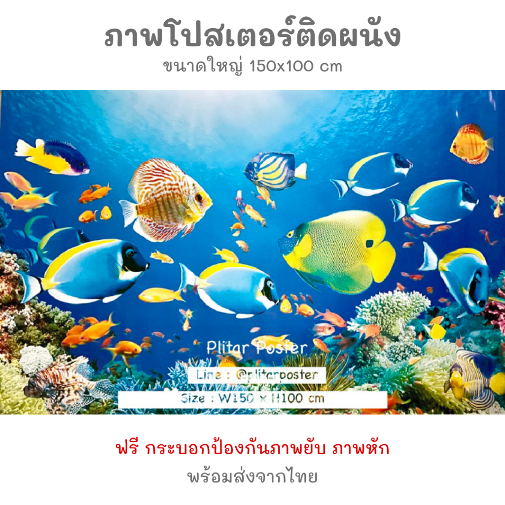 โปสเตอร์ภาพปลาใต้ทะเล ปลาการ์ตูน 100x150cm สีสด ภาพแต่งห้อง แต่งห้อง ภาพมงคล ฮวงจุ้ย อุปกรณ์ตกแต่งผนัง