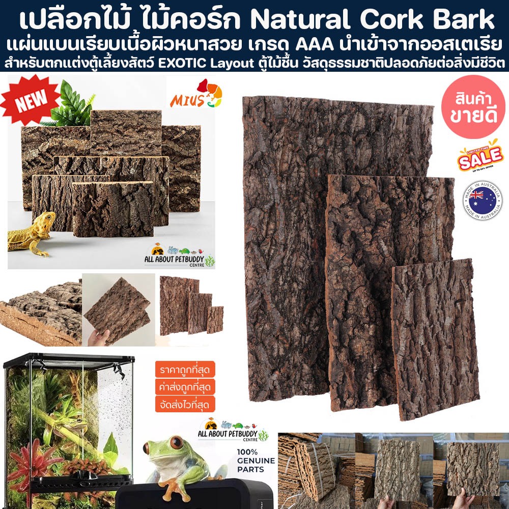 เปลือกไม้ ไม้คอร์ก Natural Cork Bark สำหรับ isopod แมลง บ้านสัตว์ เปลือกไม้ exotic pet Terrarium Reptiles ไม้คอร์ก ตู้