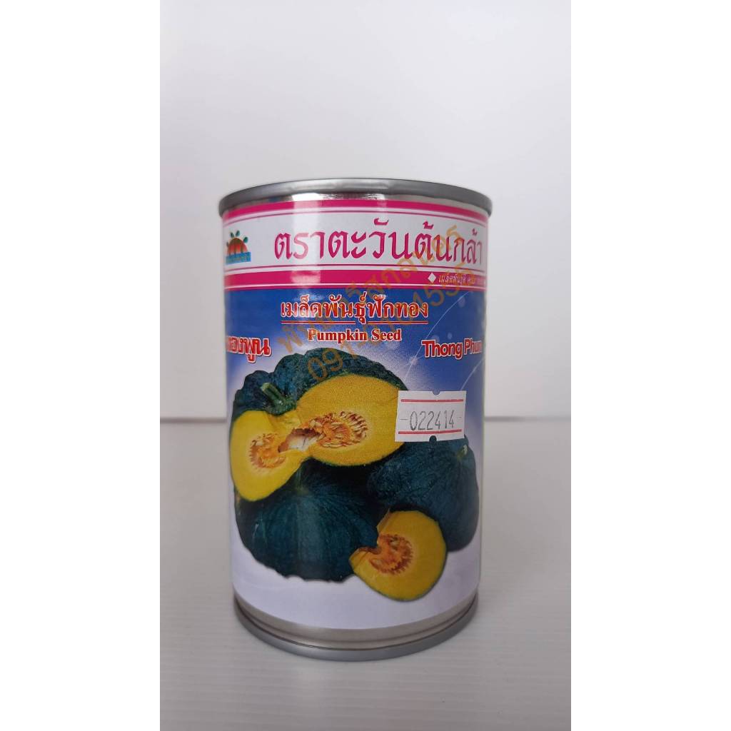 ฟักทองพันธุ์ทองพูน 50g. ตะวันต้นกล้า