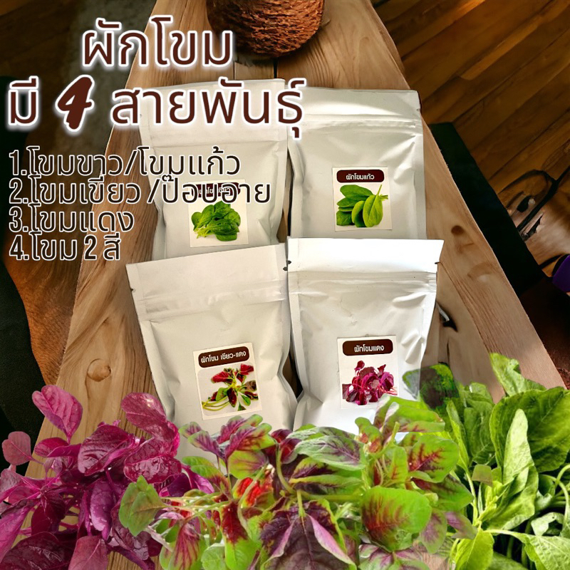 เมล็ดผักโขม มี 4 ชนิด โขมขาว/โขมเขียว/โขมแดง/โขม 2สี แดง+เขียว อัตราการงอก 90%