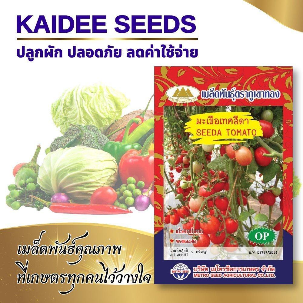 เมล็ดมะเขือเทศสีดา SEEDA TOMATO เมล็ดพันธุ์มะเขือเทศสีดา มะเขือเทศสีดา เมล็ดผักสวนครัว ตราภูเขาทอง