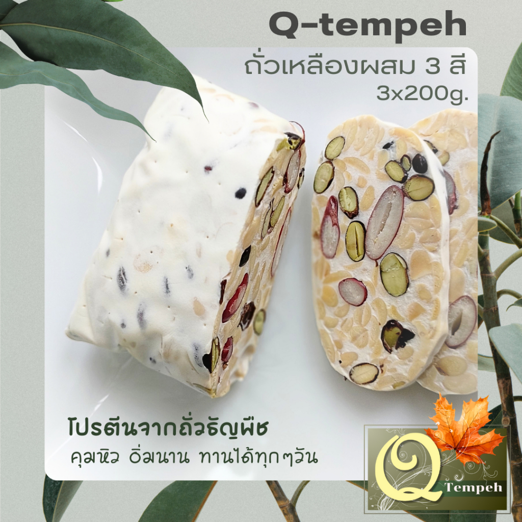 เทมเป้ถั่วเหลืองผสม 3 สี 600g.(3x200g) มีโปรตีน วิตามิน B6, B12 ไฟเบอร์ และโพรไบโอติกส์ทีดีต่อสุขภาพ