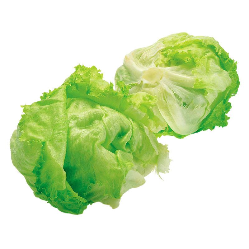 ต้นกล้าผักสลัดแก้ว ผักกาดแก้ว(Iceberg Lettuce) หอมห่อ ทานกับปิ้งย่างเกาหลี อร่อยมาก