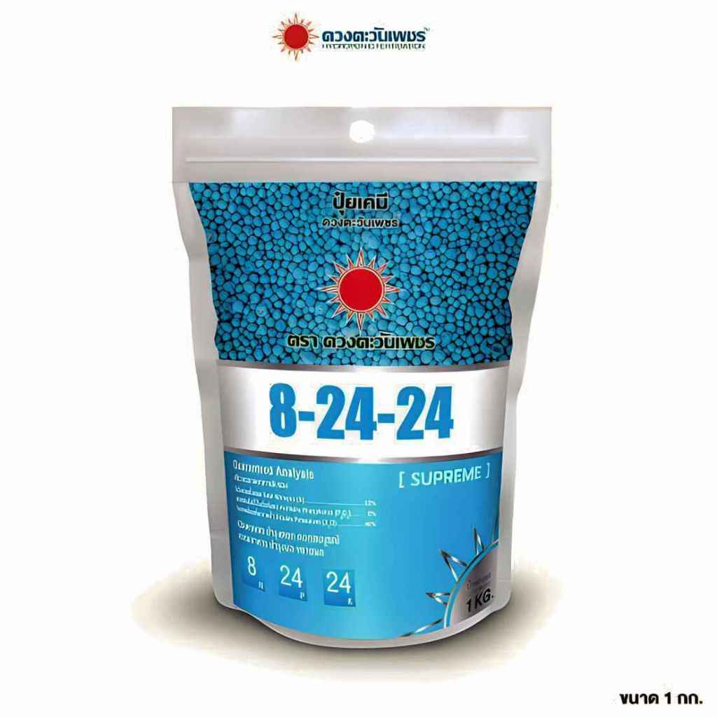 8-24-24 ดวงตะวันเพชร เปิดตาดอก ขั้วดอกเหนียว ลดการหลุดร่วง เร่งการเข้าสี เพิ่มน้ำหนัก 1 กก.