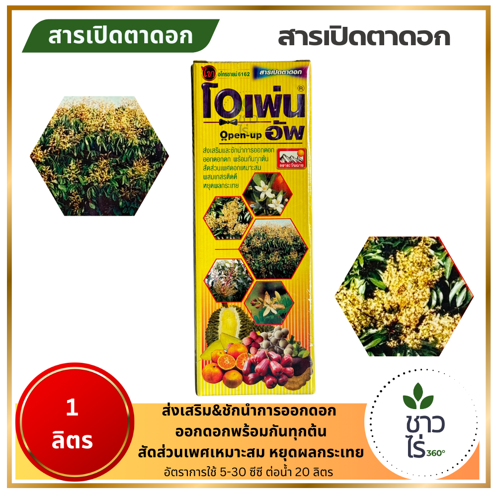 โอเพ่นอัพ 1 ลิตร สารเปิดตาดอกลำใย ชักนำการออกดอก ออกดอกดกสม่ำเสมอพร้อมกันทุกต้น หยุดผลกระเทย ข้าวออกรวงพร้อมกัน