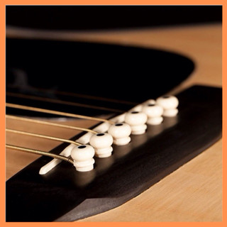 หมุดกีต้าร์(กระดูก) Pin/Nut Guitar(Bone) ให้เสียงใสกังวาน คม…