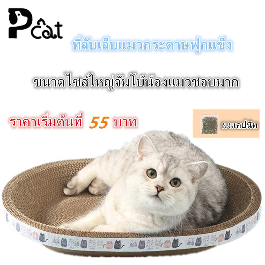 PP A53 ที่ลับเล็บแมว รูปอ่าง ที่ฝนเล็บแมว ของเล่นแมว เป็นที่นอนแมวไปในตัว ฟรี แคปนิท
