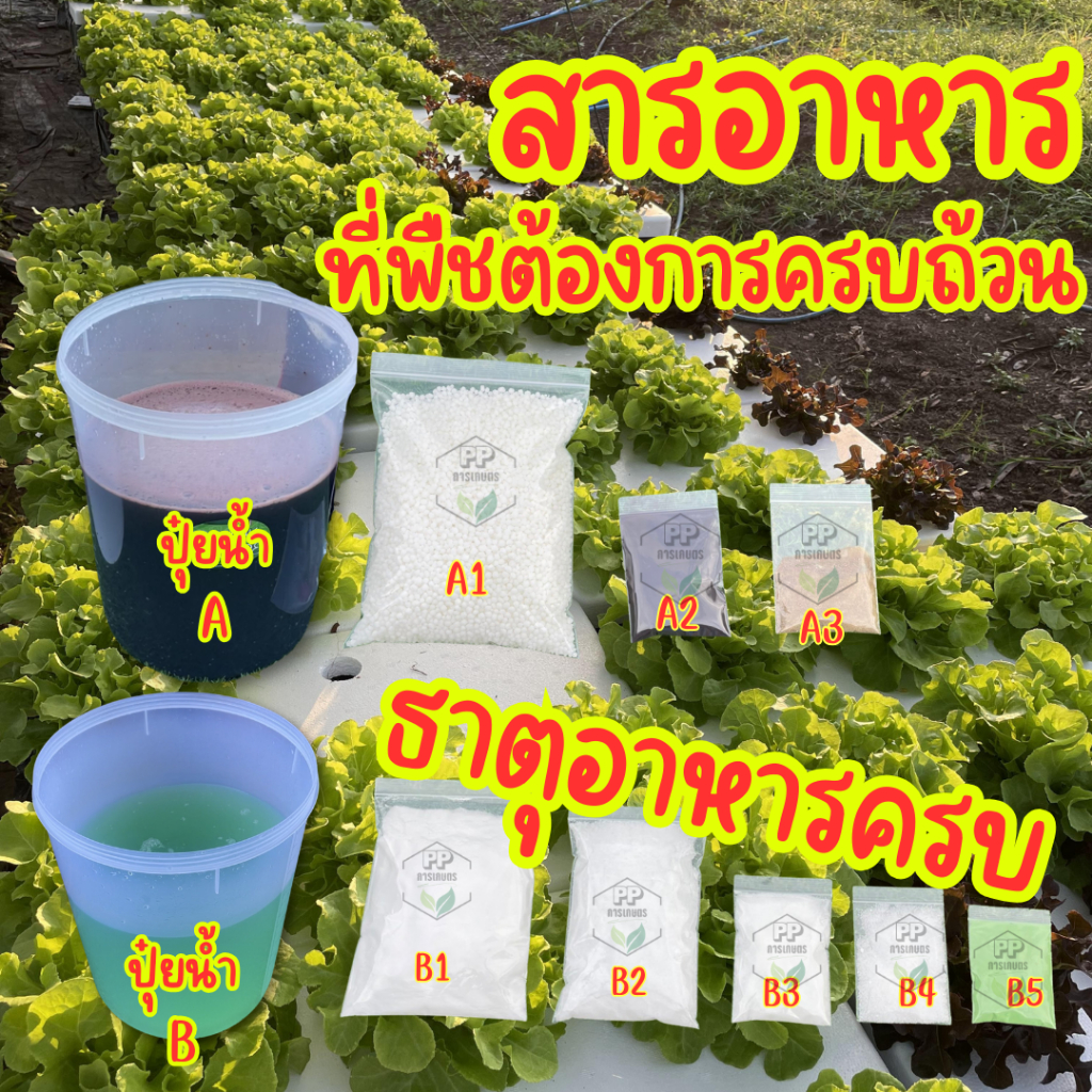 รูปภาพ 2