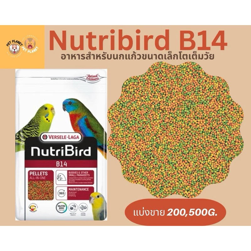 Nutribird B14 อาหารสำเร็จรูป สำหรับนกแก้วขนาดเล็ก หงส์หยก ฟอพัส เลิฟเบิร์ด แบ่งขาย