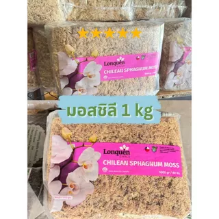 สแฟกนั่มมอส มอสชิลี ปลูกต้นไม้ 1 kg. (Chilean Sphagnum Moss)