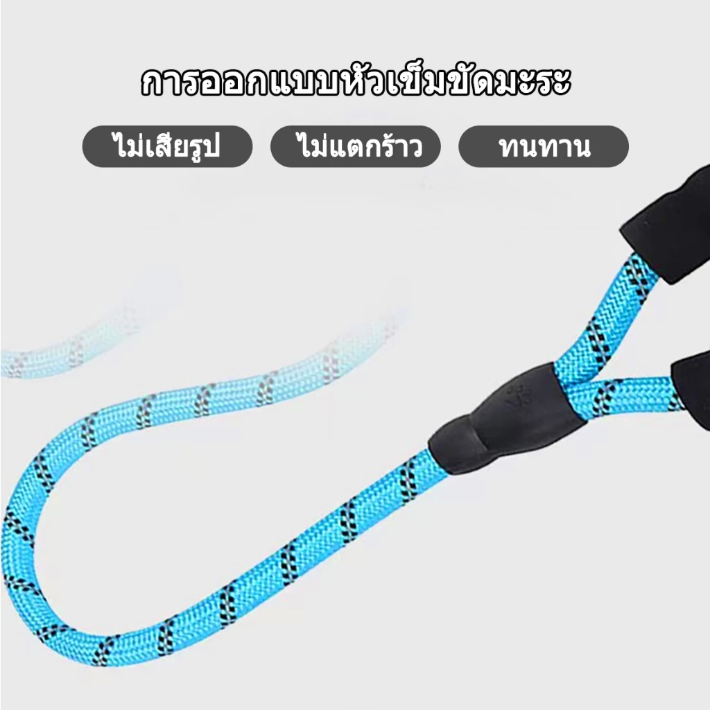 สายจูงสุนัข 2in1 พร้อมปลอกคอ ไนลอน ยาว 1.5m หลายสี thumbnail 7