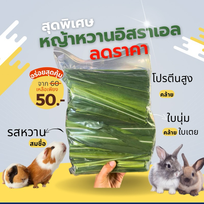 หญ้าหวานอิสราเอลกรอบหวาน
