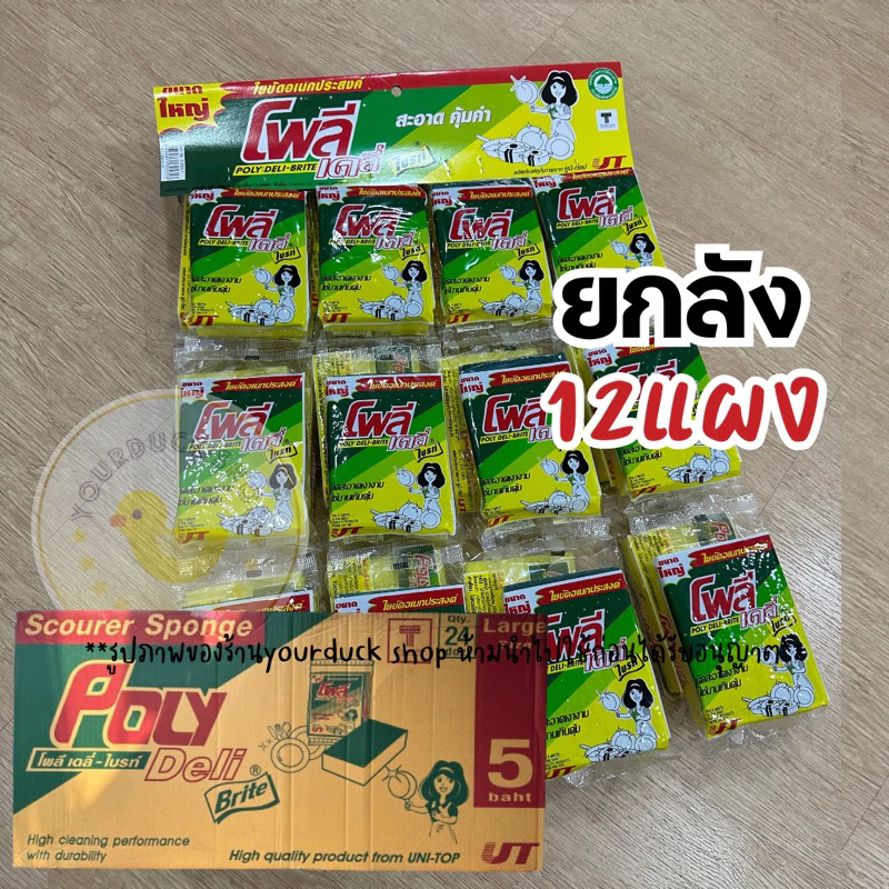ฟองน้ำแผง 5 บาท ยกลัง x 12 แผง Poly