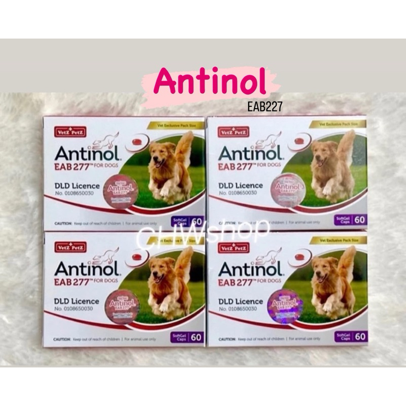 Antinol (EAB227) แบรนด์แท้ 100% มีฉลากยา กล่องต้นแบบ  อาหารเสริมสารสกัดบำรุงข้อสัตว์เลี้ยง