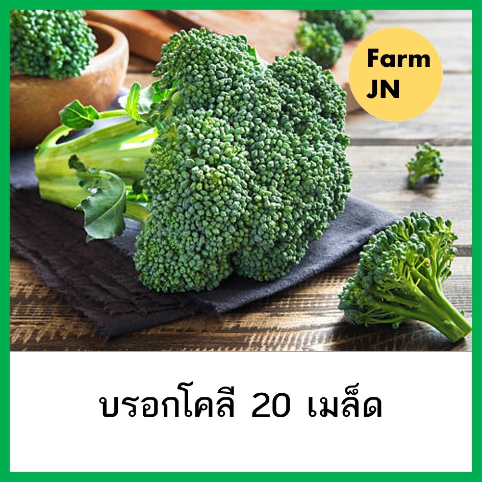 เมล็ดบรอกโคลี เมล็ดผักสวนครัว  10 แถม 1