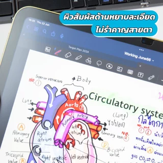 ฟิล์มกระจก ผิวกระดาษ Hogo Paper Feel Glass For iPad Pro / iPad Air4-8 / iPad mini / iPad Gen7-11