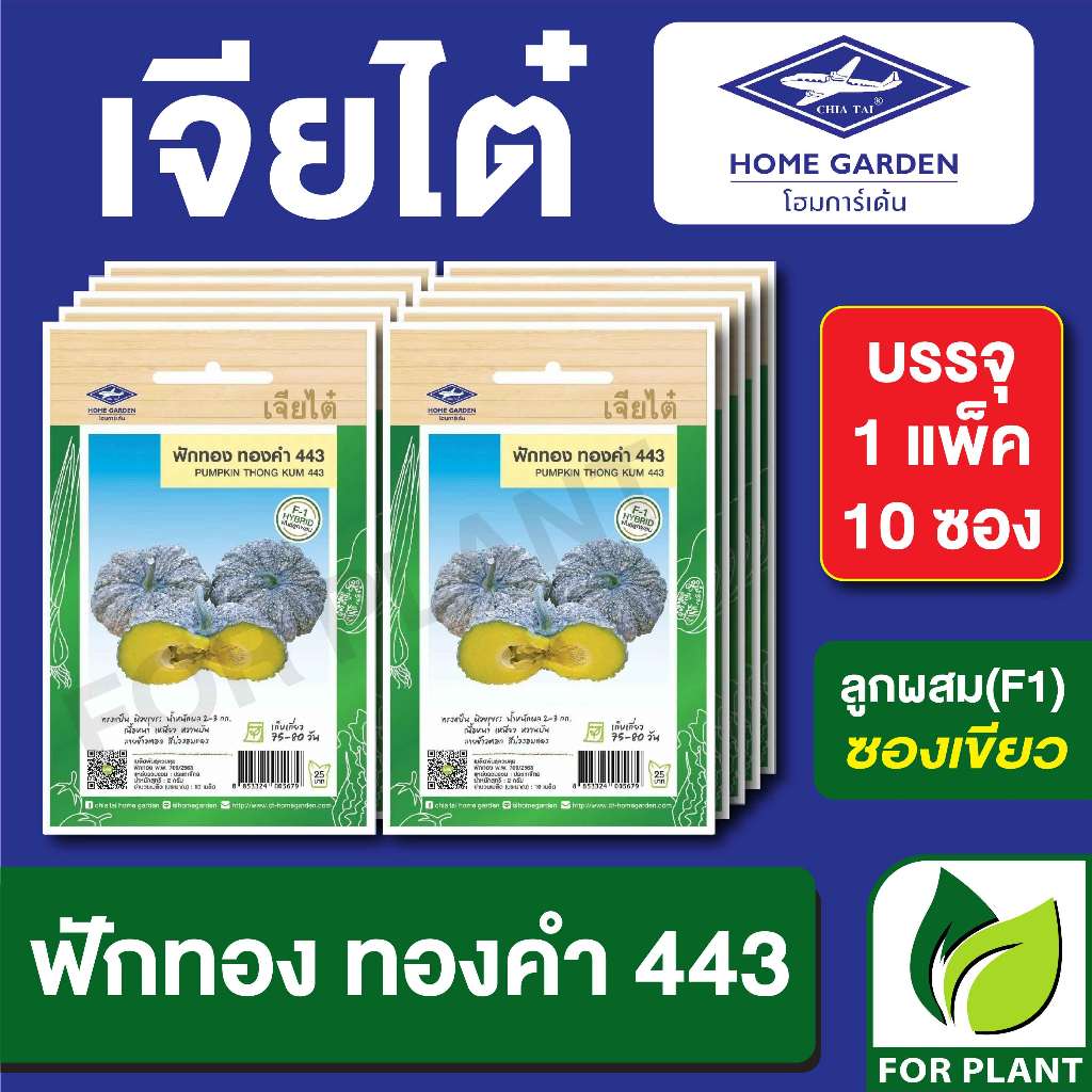 เมล็ดพันธุ์ ผักซอง ฟักทองข้าวตอก ทองคำ443 ตราเจียไต๋ บรรจุแพคล่ะ 10 ซอง ราคา 180 บาท
