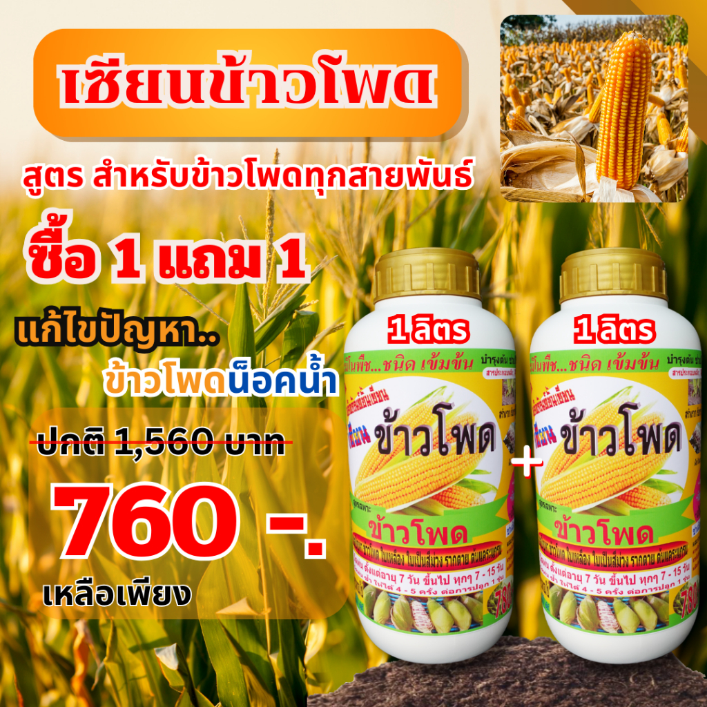 เซียนข้าวโพด 1 ลิตร แถม 1 ลิตร ปุ๋ยข้าวโพด ฮอร์โมนข้าวโพด ปุ๋ยทางใบ อะมิโน ปุ๋ยสูตร สาหร่าย