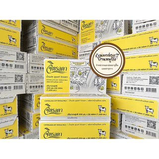 จิตรลดา นม UHT จิตรลดา รสจืด ขนาด 200 มล. (1 ลัง บรรจุ 36 กล่อง) หมดอายุ ด.12/69