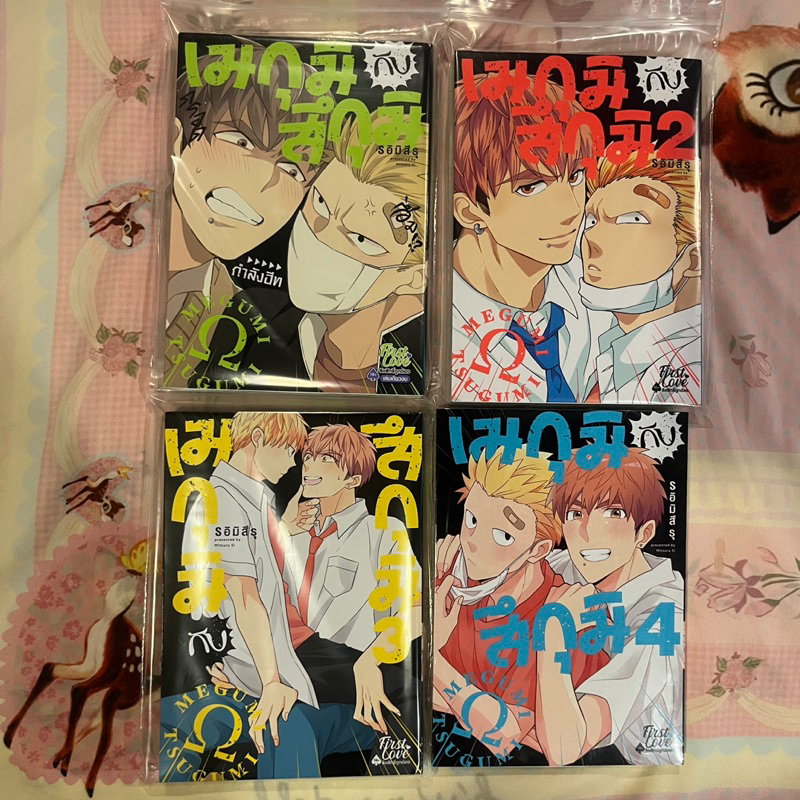 First Love (ยกเซ็ต) เมกุมิ กับ สึกุมิ Megumi and Tsugumi มังงะ การ์ตูน วาย (มือ 2)