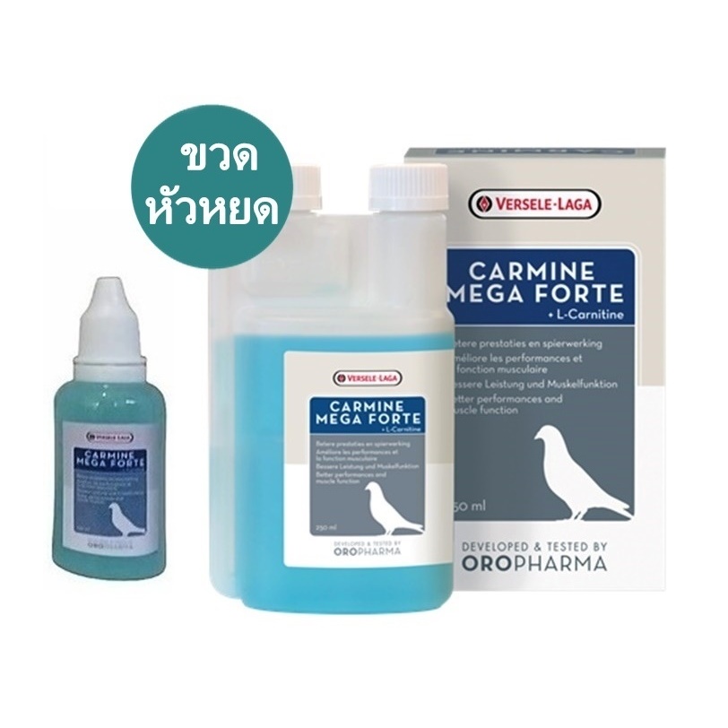 Carmine แบ่ง เฝ้าระวังตะคริว สู่ความฟิตที่สมบูรณ์ หัวหยด 30 ml.