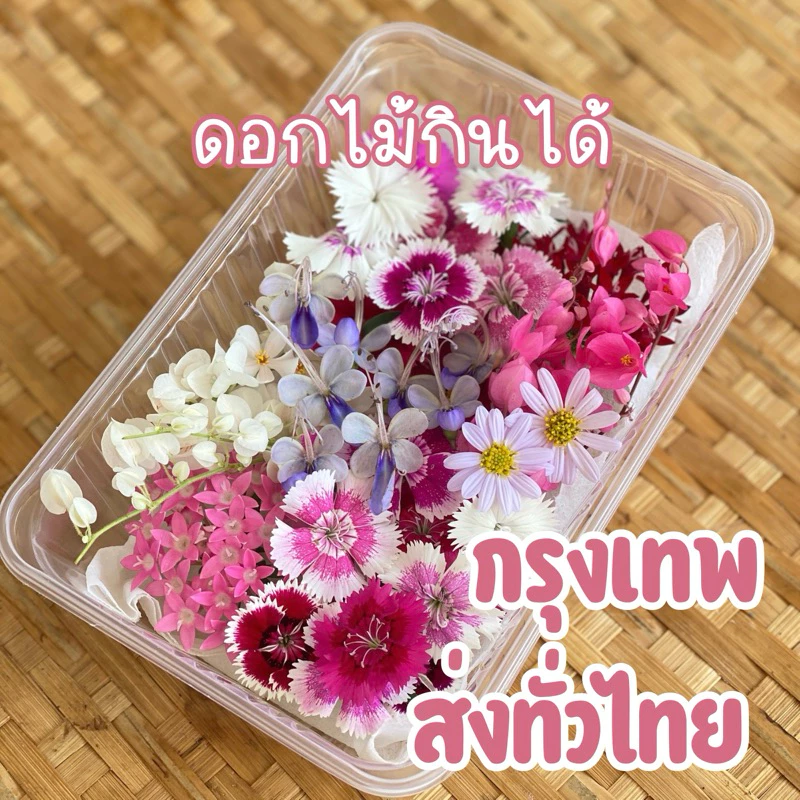 ดอกไม้กินได้ปลอดสาร 🌸 แต่งเค้ก แต่งอาหาร 🌸 ตัดสด ส่งตรงจากฟาร์มมาตรฐาน GAP