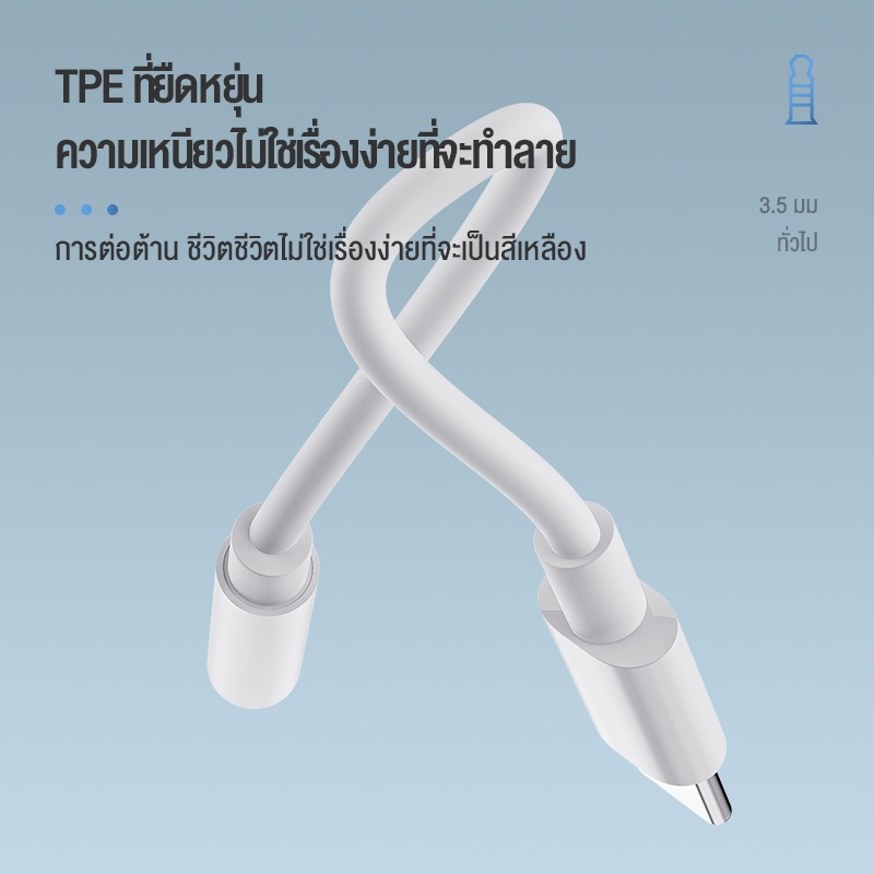 รูปภาพ 8